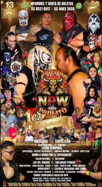 source: http://luchadb.com/posters/uploads/20251209C/20251209_01.png