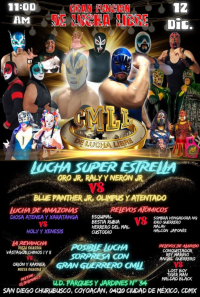 source: http://luchadb.com/posters/uploads/20251209C/20251209_03.png