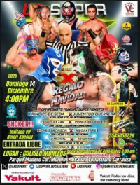 source: http://luchadb.com/posters/uploads/20251209C/20251209_11.png