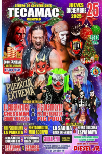 source: http://luchadb.com/posters/uploads/20251209C/20251209_18.png