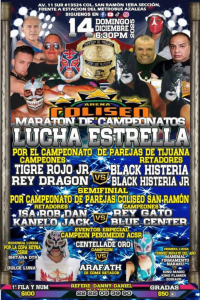 source: http://luchadb.com/posters/uploads/20251209D/20251209_03.png