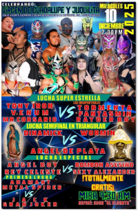 source: http://luchadb.com/posters/uploads/20251210A/20251210_10.png