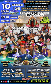 source: http://luchadb.com/posters/uploads/20251210A/20251210_13.png