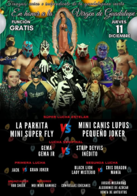 source: http://luchadb.com/posters/uploads/20251210A/20251210_15.png