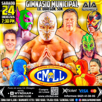 source: http://luchadb.com/posters/uploads/20251211A/20251211_10.png