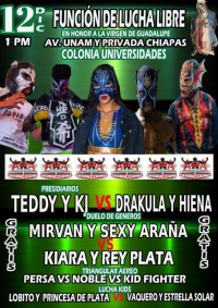 source: http://luchadb.com/posters/uploads/20251211A/20251211_16.png