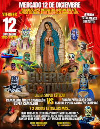 source: http://luchadb.com/posters/uploads/20251211B/20251211_01.png