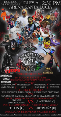 source: http://luchadb.com/posters/uploads/20251211B/20251211_03.png