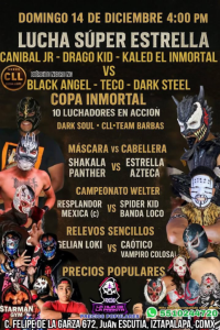 source: http://luchadb.com/posters/uploads/20251211C/20251211_12.png