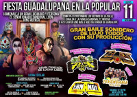 source: http://luchadb.com/posters/uploads/20251211C/20251211_19.png