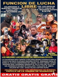 source: http://luchadb.com/posters/uploads/20251211D/20251211_01.png