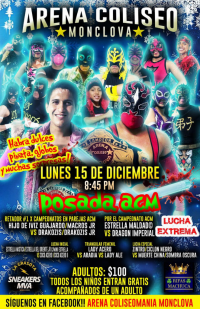 source: http://luchadb.com/posters/uploads/20251213A/20251213_01.png