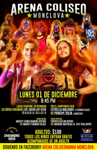 source: http://luchadb.com/posters/uploads/20251213A/20251213_02.png