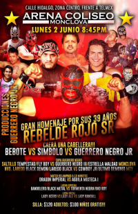 source: http://luchadb.com/posters/uploads/20251213A/20251213_20.png