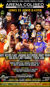 source: http://luchadb.com/posters/uploads/20251213B/20251213_10.png