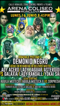 source: http://luchadb.com/posters/uploads/20251213B/20251213_11.png