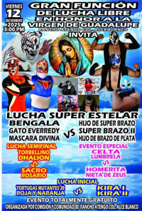 source: http://luchadb.com/posters/uploads/20251213B/20251213_18.png