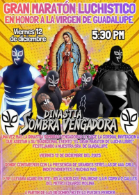 source: http://luchadb.com/posters/uploads/20251213C/20251213_04.png