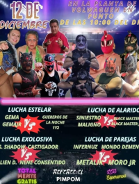 source: http://luchadb.com/posters/uploads/20251213C/20251213_06.png