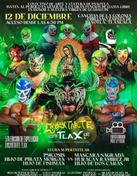 source: http://luchadb.com/posters/uploads/20251213C/20251213_08.png