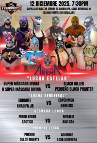 source: http://luchadb.com/posters/uploads/20251213C/20251213_14.png