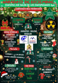 source: http://luchadb.com/posters/uploads/20251213C/20251213_17.png