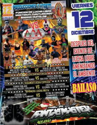 source: http://luchadb.com/posters/uploads/20251213D/20251213_06.png