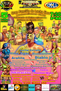 source: http://luchadb.com/posters/uploads/20251214B/20251214_05.png