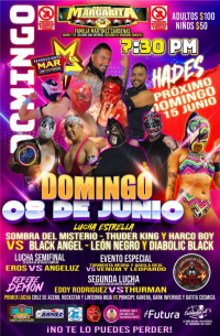 source: http://luchadb.com/posters/uploads/20251214B/20251214_10.png