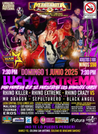 source: http://luchadb.com/posters/uploads/20251214B/20251214_11.png