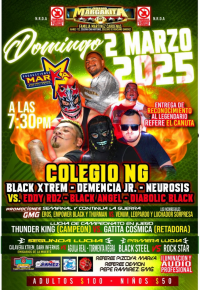 source: http://luchadb.com/posters/uploads/20251214B/20251214_14.png