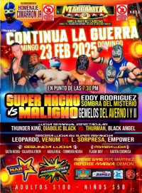 source: http://luchadb.com/posters/uploads/20251214B/20251214_15.png