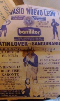 source: http://luchadb.com/posters/uploads/Rob_20251218B/Rob_20251218B_14.png