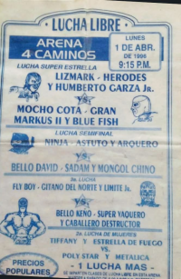 source: http://luchadb.com/posters/uploads/Rob_20251218B/Rob_20251218B_18.png