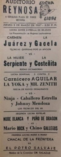 source: http://luchadb.com/posters/uploads/Rob_20251218C/Rob_20251218C_04.png