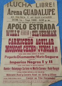 source: http://luchadb.com/posters/uploads/Rob_20251218C/Rob_20251218C_05.png