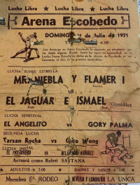 source: http://luchadb.com/posters/uploads/Rob_20251218C/Rob_20251218C_12.png