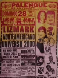 source: http://luchadb.com/posters/uploads/Rob_20251218C/Rob_20251218C_16.png