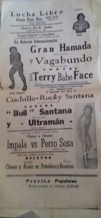 source: http://luchadb.com/posters/uploads/Rob_20251218C/Rob_20251218C_19.png