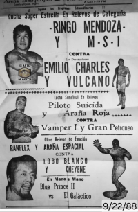 source: http://luchadb.com/posters/uploads/Rob_20251218D/Rob_20251218D_04.png