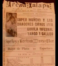 source: http://luchadb.com/posters/uploads/Rob_20251218D/Rob_20251218D_07.png