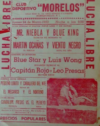 source: http://luchadb.com/posters/uploads/Rob_20251218D/Rob_20251218D_10.png