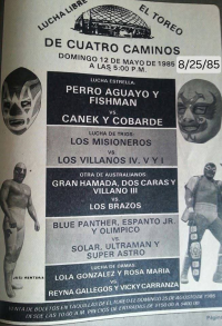 source: http://luchadb.com/posters/uploads/Rob_20251218D/Rob_20251218D_15.png