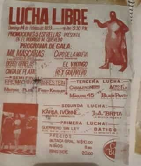 source: http://luchadb.com/posters/uploads/Rob_20251218F/Rob_20251218F_17.png