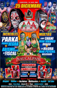 source: http://luchadb.com/posters/uploads/20251216B/20251216_12.png