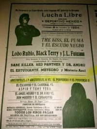 source: http://luchadb.com/posters/uploads/Rob_20251218G/Rob_20251218G_02.png