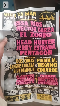 source: http://luchadb.com/posters/uploads/Rob_20251218G/Rob_20251218G_14.png