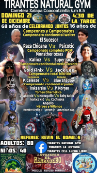 source: http://luchadb.com/posters/uploads/20251218A/20251218_10.png