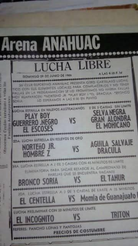 source: http://luchadb.com/posters/uploads/Rob_20251218M/Rob_20251218M_16.png