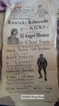 source: http://luchadb.com/posters/uploads/Rob_20251218N/Rob_20251218N_03.png